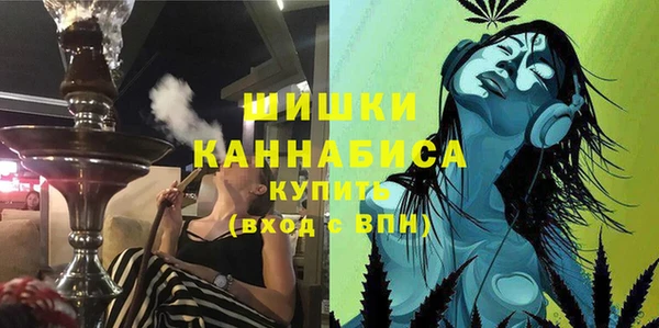 стаф Абаза
