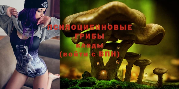 стаф Абаза