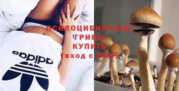 СК Абдулино
